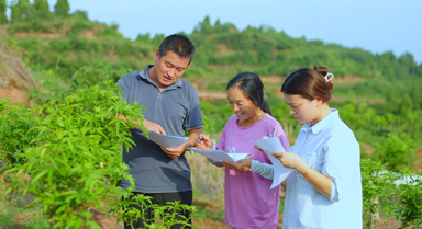 張升平：從清華學子到鄉村農技專家